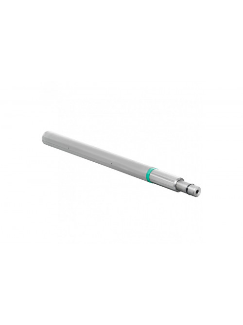 Nail inserter