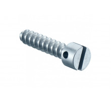 Sealing screw, Length 15 mm