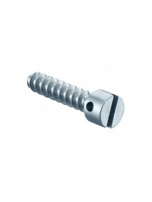 Sealing screw, Length 15 mm