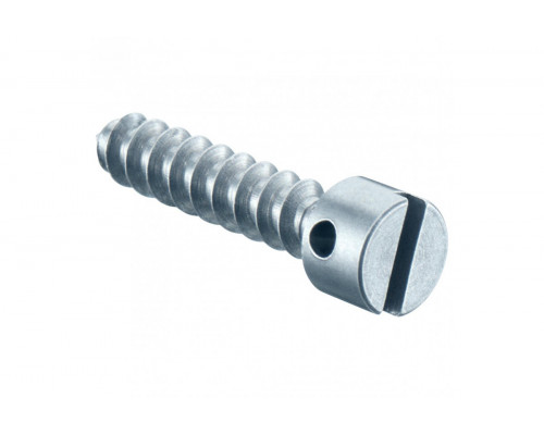 Sealing screw, Length 15 mm
