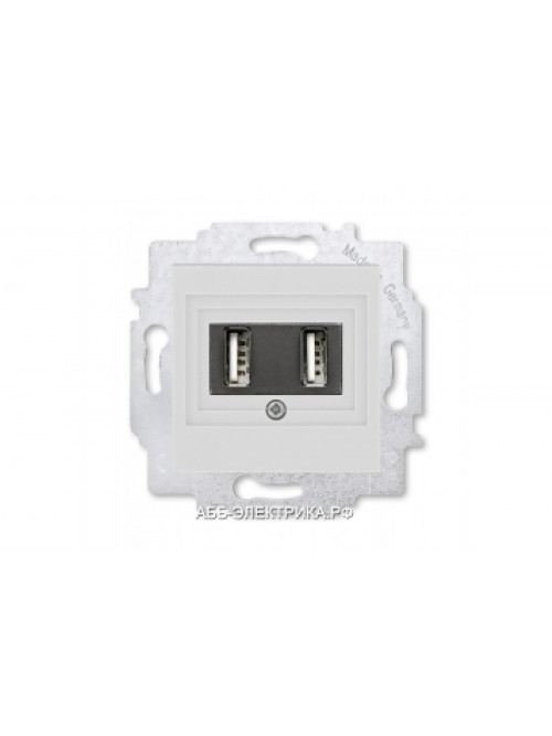 Розетка USB зарядка двойная ABB Levit серый