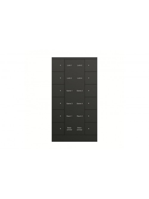 Busch-Jaeger – SB/U12.0.11-885 SB/U12.0.11-885 12f. Control element, black matt