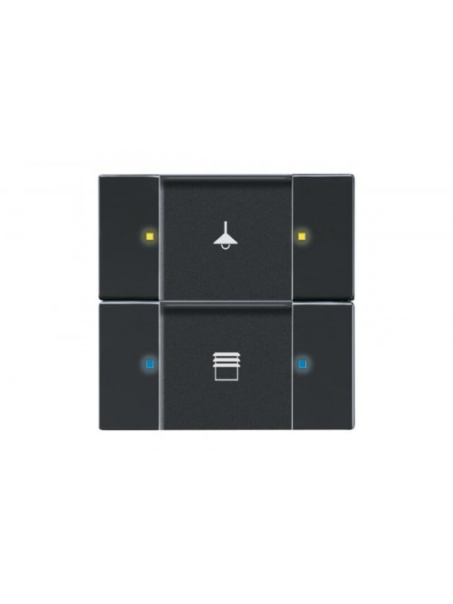 Busch-Jaeger – 6126/02-885 6126/02-885 Control element 2/4gang