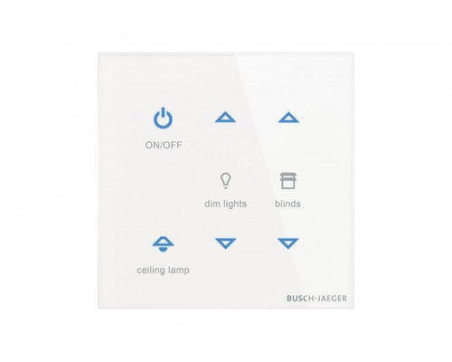 Busch-Jaeger – TB/U6-CG TB/U6-CG Control element 6g.