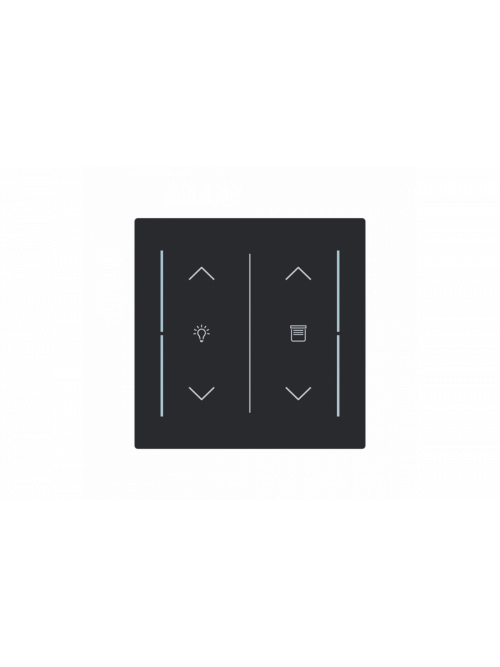 Busch-Jaeger – LFDW/A.2.70.11-45M Cover plate with legend with Symbol "dimming" black matt - Busch-art linear