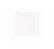 Cover plate with legend Card, Symbol "arrows" Hotel card studio white matt - Busch-art linear