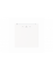 Cover plate with legend Card, Symbol "arrows" Hotel card studio white matt - Busch-art linear