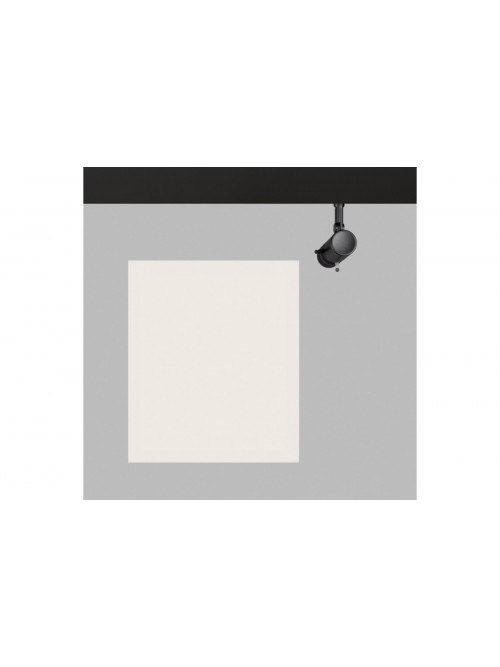 Coco Shaper Surface