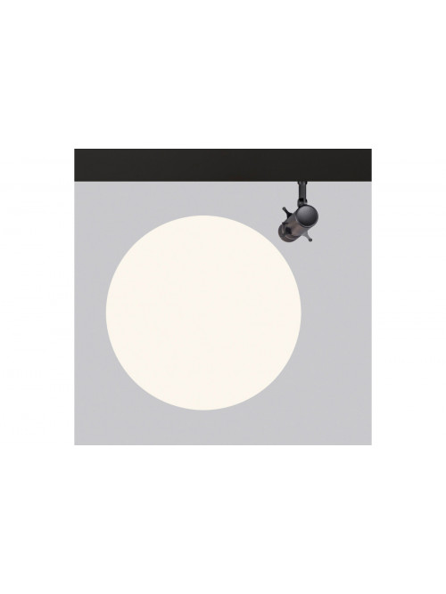 Coco Shaper Surface