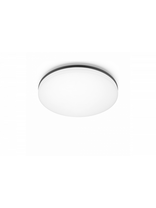 Vola