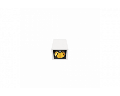 Black Foster Surface 1