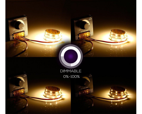 Dimmer încorporat Prolum 30A BUT