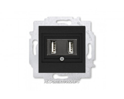 Розетка USB зарядка двойная ABB Levit антрацит