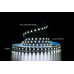 bandă LED PROLUM™ 12V; 2835\120; IP20; Seria S-TYPE „SG”, alb (5500-6000K)