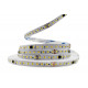 Светодиодная LED лента PROLUM™ RUN 24V; 2835\120; IP20; Series "SMART", Белый (5500-6000К)