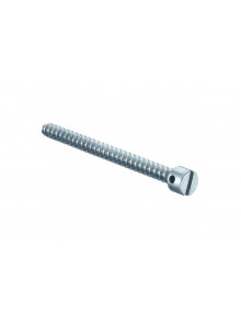 Sealing screw, Length 40 mm