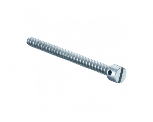 Sealing screw, Length 40 mm