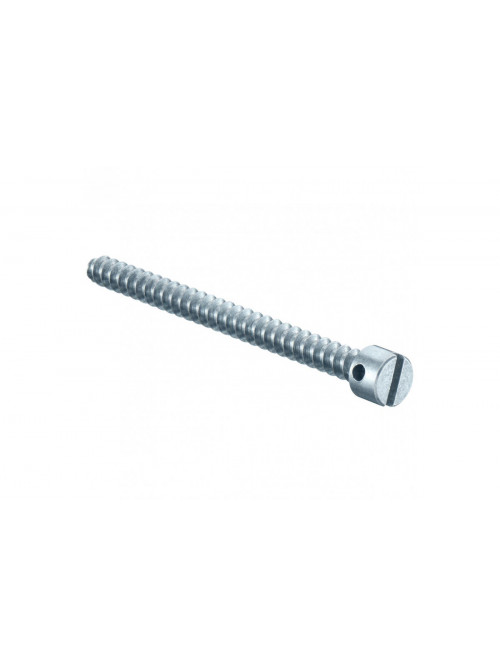 Sealing screw, Length 40 mm