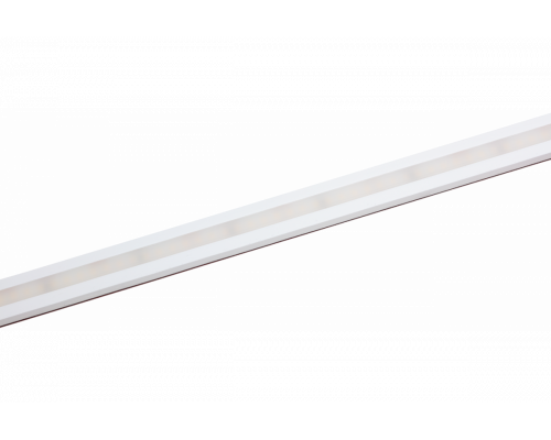 LED Star Strip 1200 ZeroPitch Waterproof, LED STRIP 1200ZP S 965/24V/IP67 5M