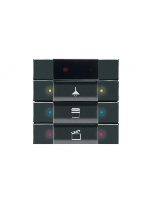 Busch-Jaeger – 6129/01-81 6129/01-81 Control element 3/6g w. IR