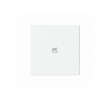 Busch-Jaeger – LFST/A.1.63.11-84 Cover plate with legend with Symbol "scene" studio white - 63x63