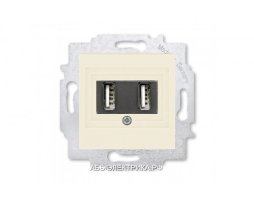 Розетка USB зарядка двойная ABB Levit слоновая кость