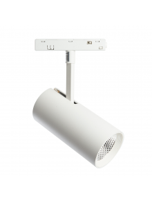 FN MGN303,20W,4000K