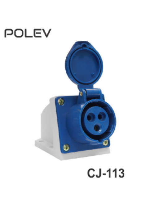 CJ-113