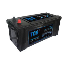 Battery TCS SMF 160G51 Free Truck Battery