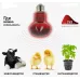 Инфракрасная лампа для обогрева птиц и животных 250Вт ИКЗК 220-250 R125 E27