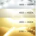 Светодиодная LED лента PROLUM™ 24V; 2835\120; IP20; Series "SG", Белый (5500-6000К)
