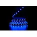 bandă LED PROLUM™ 12V; 5050\60; IP20; Seria „PRO”, RGB