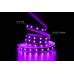 Banda LED PROLUM 24V; IP20; 5050\60; Seria „SG”, RGB