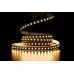 Bandă LED PROLUM™ RUN 24V; 2835\120; IP20; Seria „SMART”, alb cald (2800-3200K)