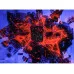 Флуоресцентная краска Noxton для ткани Темно-розовая с темно-розовым свечением в УФ свете